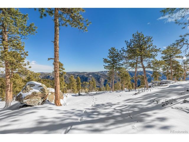 13144 Pine Country Ln, Conifer, CO 80433