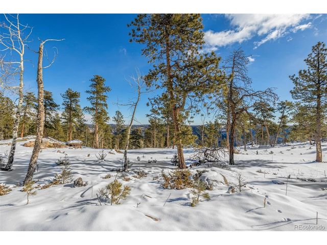 13144 Pine Country Ln, Conifer, CO 80433