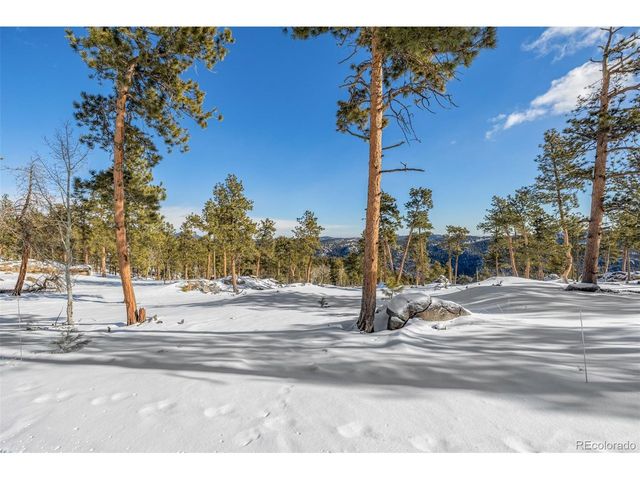 13144 Pine Country Ln, Conifer, CO 80433