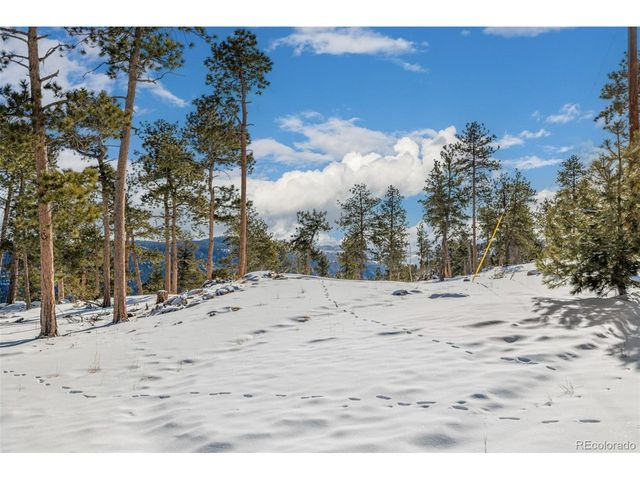 13144 Pine Country Ln, Conifer, CO 80433