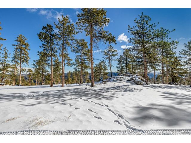 13144 Pine Country Ln, Conifer, CO 80433