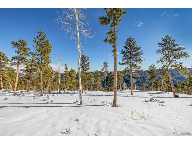 13144 Pine Country Ln, Conifer, CO 80433