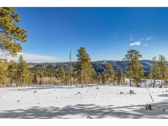 13144 Pine Country Ln, Conifer, CO 80433