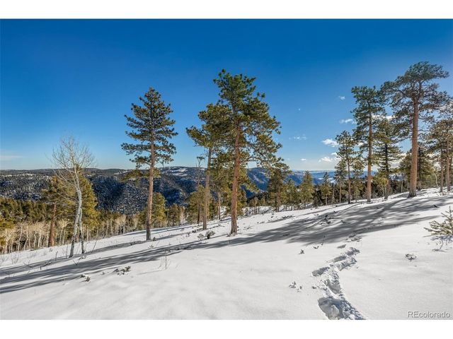 13144 Pine Country Ln, Conifer, CO 80433