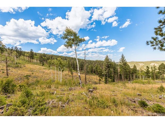 13144 Pine Country Ln, Conifer, CO 80433