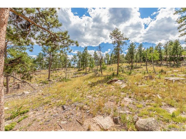 13144 Pine Country Ln, Conifer, CO 80433