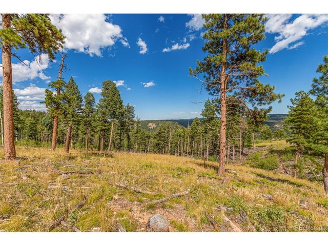 13144 Pine Country Ln, Conifer, CO 80433