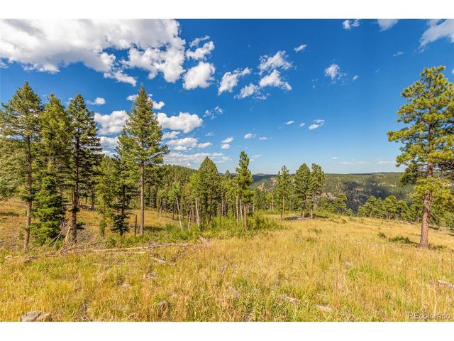 13144 Pine Country Ln, Conifer, CO 80433