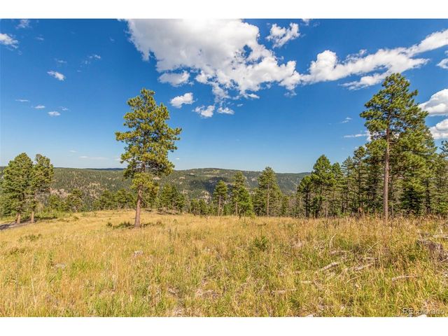 13144 Pine Country Ln, Conifer, CO 80433