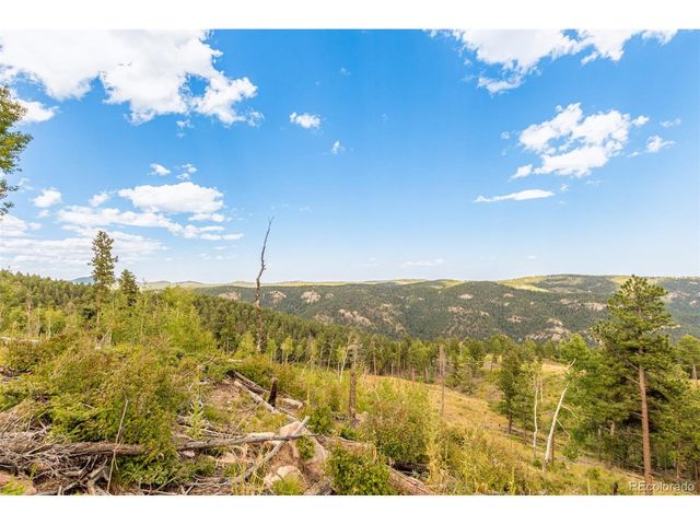 13144 Pine Country Ln, Conifer, CO 80433