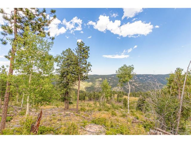 13144 Pine Country Ln, Conifer, CO 80433