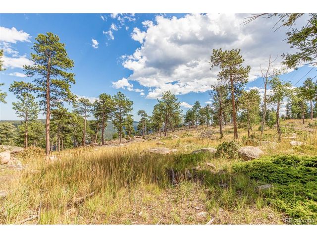 13144 Pine Country Ln, Conifer, CO 80433