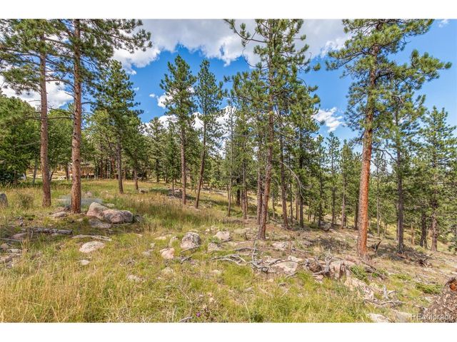13144 Pine Country Ln, Conifer, CO 80433