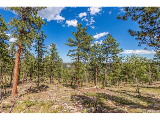 13144 Pine Country Ln, Conifer, CO 80433