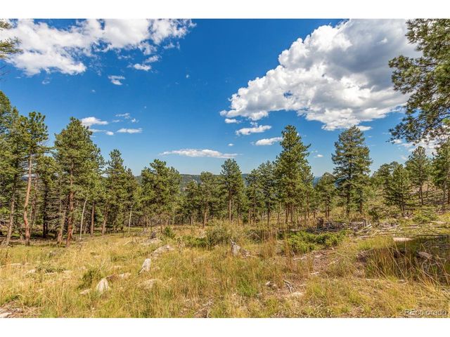 13144 Pine Country Ln, Conifer, CO 80433