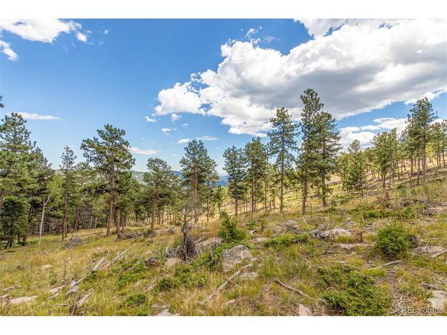 13144 Pine Country Ln, Conifer, CO 80433