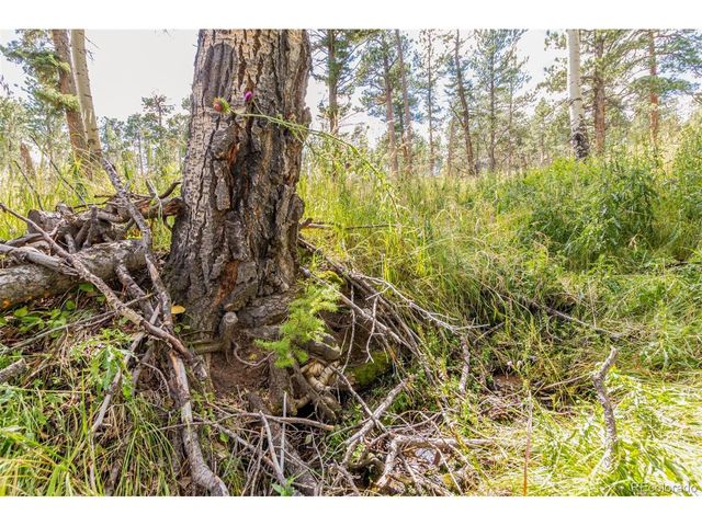 13144 Pine Country Ln, Conifer, CO 80433