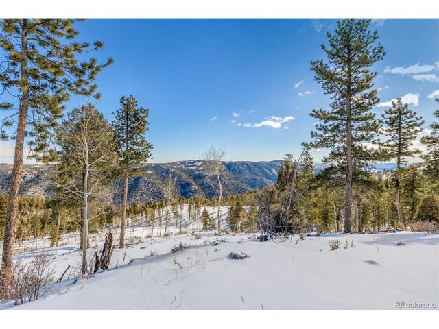 13144 Pine Country Ln, Conifer, CO 80433
