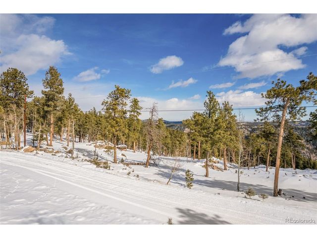 13144 Pine Country Ln, Conifer, CO 80433