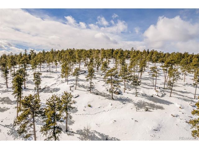 13144 Pine Country Ln, Conifer, CO 80433