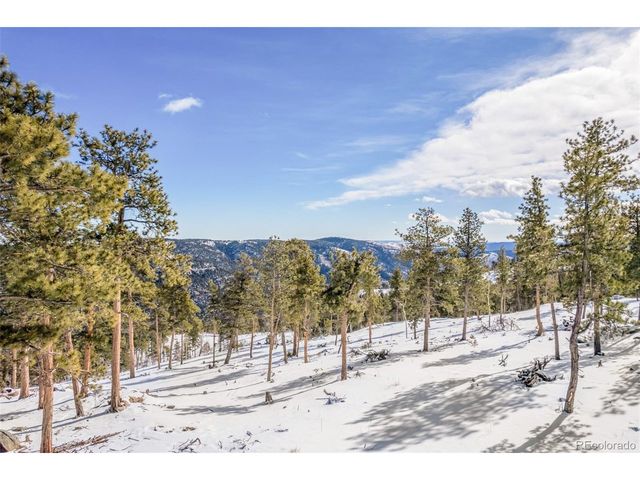 13144 Pine Country Ln, Conifer, CO 80433