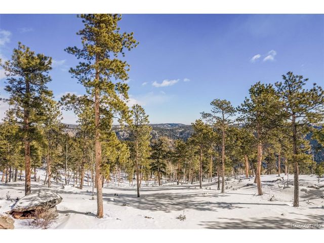 13144 Pine Country Ln, Conifer, CO 80433