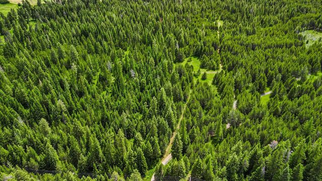 10XXX N Whispering Pines Ln, Elk, WA 99009