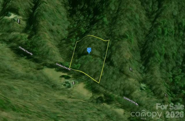 9 Smoky Cove Road, Whittier, NC 28789