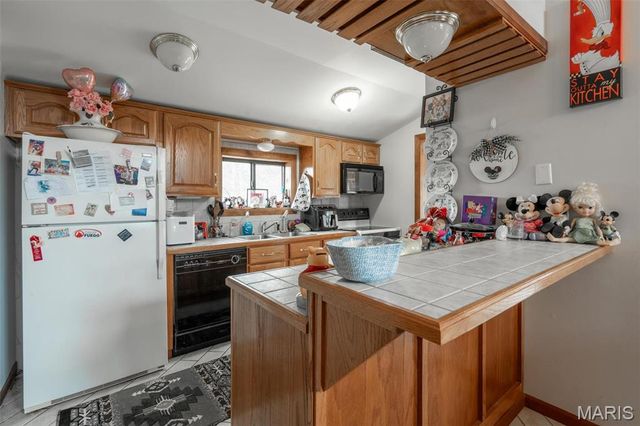 255 Wayne 406, Williamsville, MO 63967