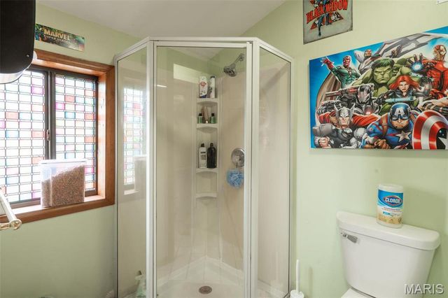 255 Wayne 406, Williamsville, MO 63967