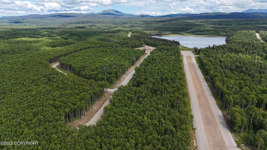 21439 E Quarah Lake Avenue, Talkeetna, AK 99676