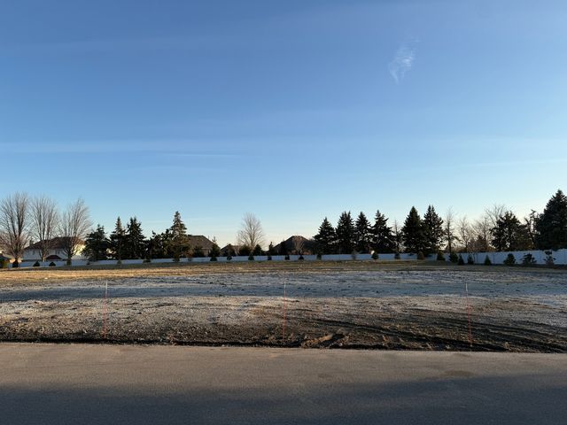 Lot 2 Laraway Road, Frankfort, IL 60423