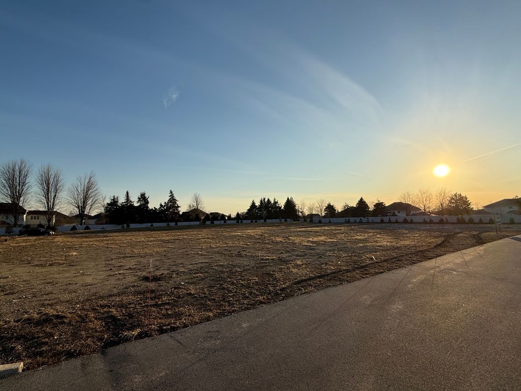 Lot 2 Laraway Road, Frankfort, IL 60423