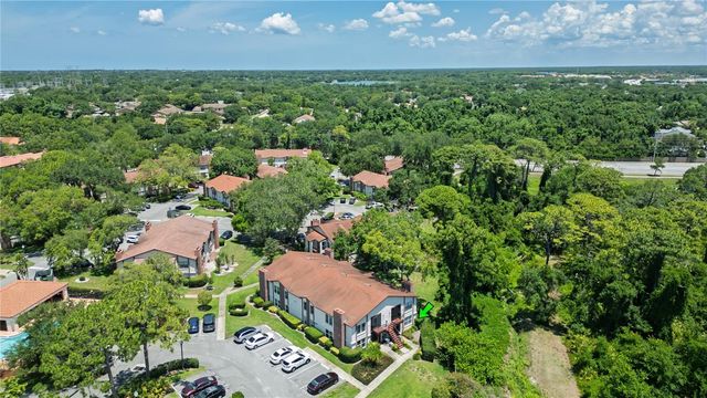 3455 COUNTRYSIDE BOULEVARD 11, Clearwater, FL 33761