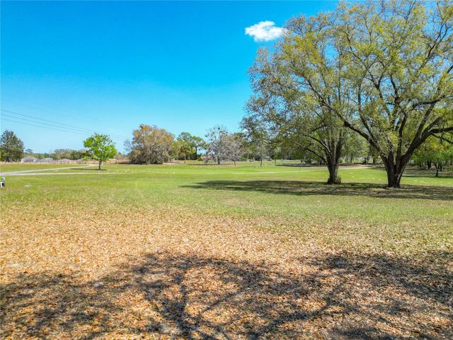 295 LOCUST PASS, Ocala, FL 34472