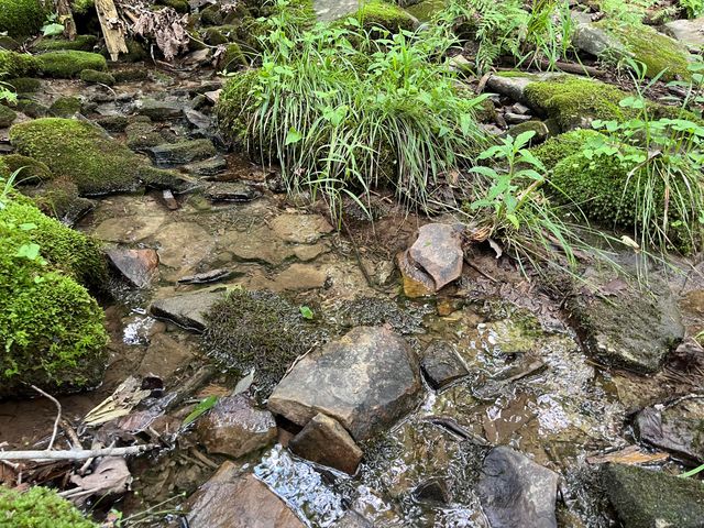 0004 Fredonia Mountain Road, Dunlap, TN 37327