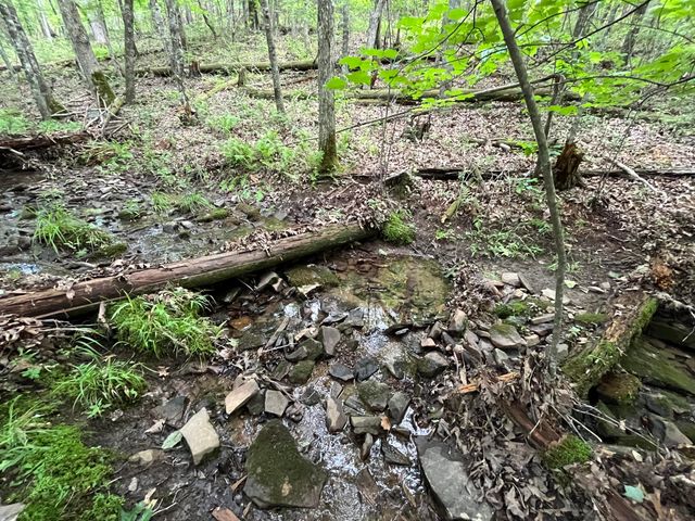 0004 Fredonia Mountain Road, Dunlap, TN 37327