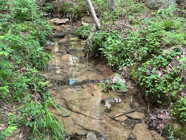 0004 Fredonia Mountain Road, Dunlap, TN 37327