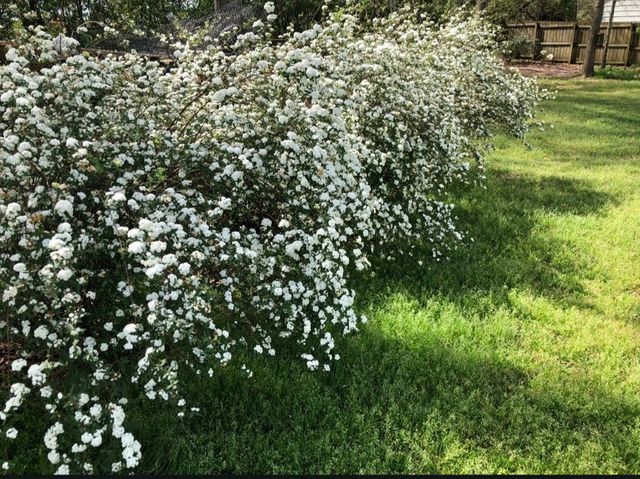 3709 Navajo Trace, Dothan, AL 36305