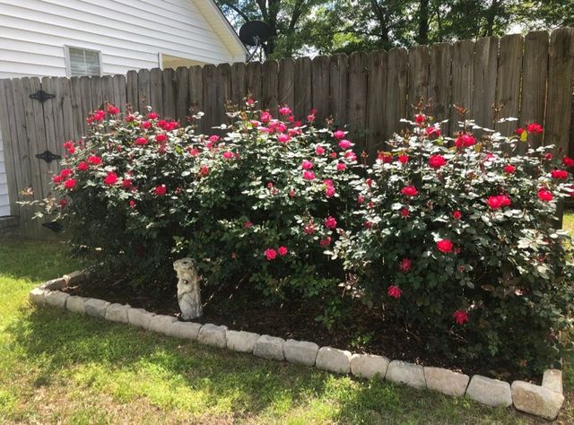 3709 Navajo Trace, Dothan, AL 36305