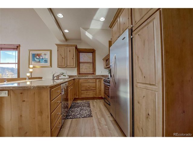 65 Antlers Gulch Rd 502, Dillon, CO 80435