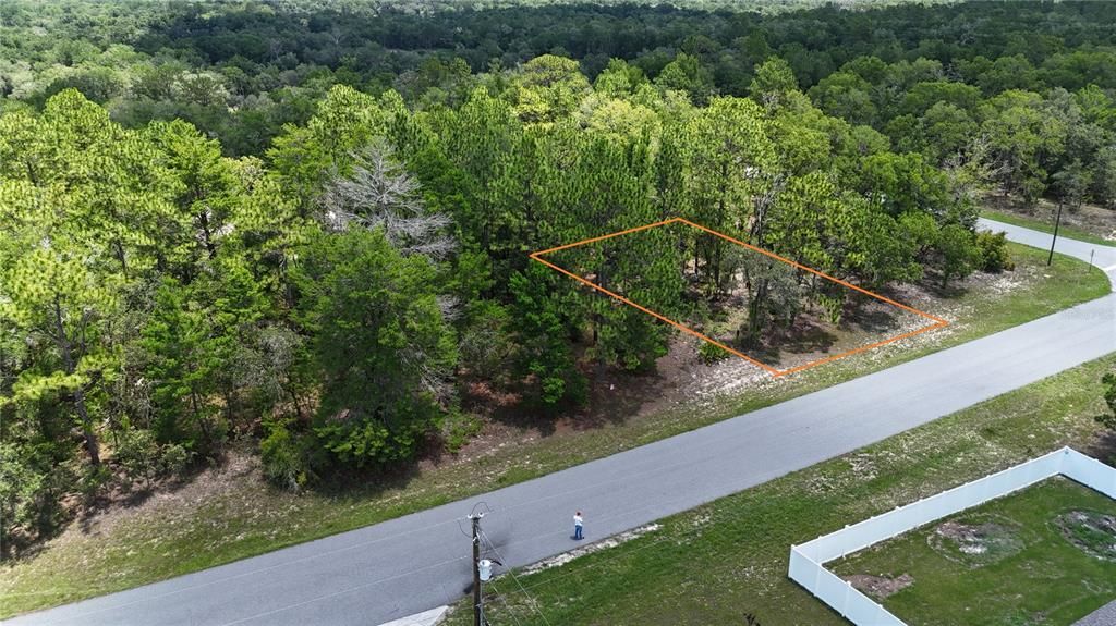 1971 W G MARTINELLI BOULEVARD, Citrus Springs, FL 34434