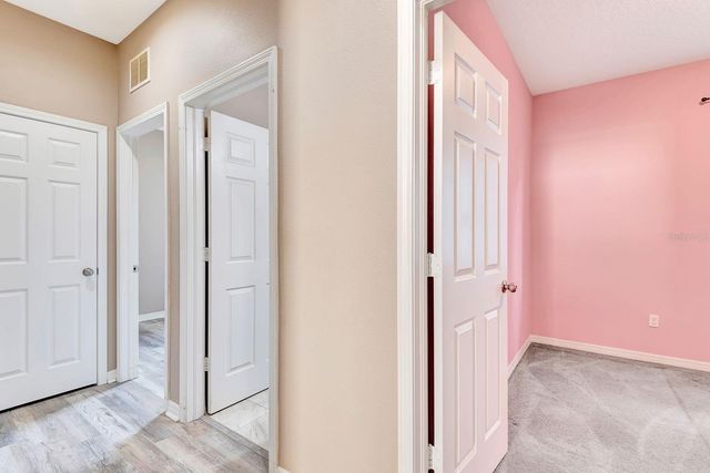 9116 MOUNTAIN CAMELLIA LANE, Riverview, FL 33578