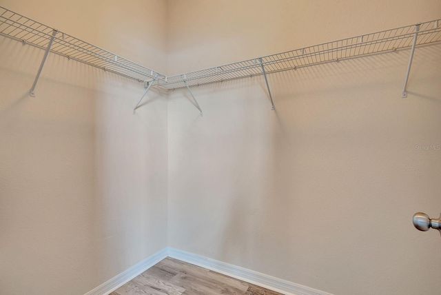 9116 MOUNTAIN CAMELLIA LANE, Riverview, FL 33578