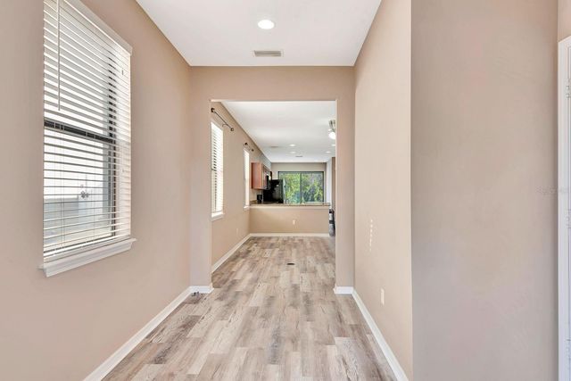 9116 MOUNTAIN CAMELLIA LANE, Riverview, FL 33578