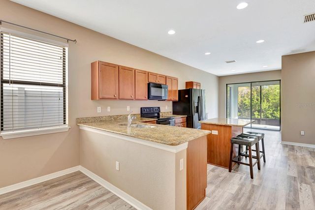 9116 MOUNTAIN CAMELLIA LANE, Riverview, FL 33578