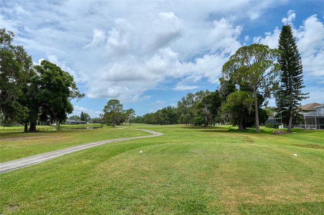 16215 HOYLAKE DRIVE, Odessa, FL 33556