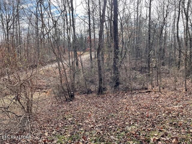 125 Walnut Lane, Oneida, TN 37841