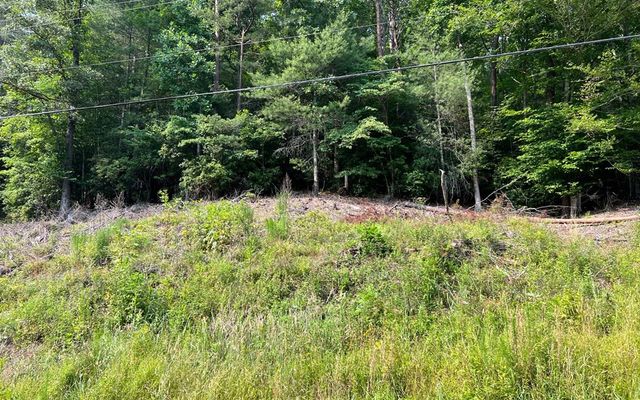 Lot 3 Fires Creek Road, Hayesville, NC 28904
