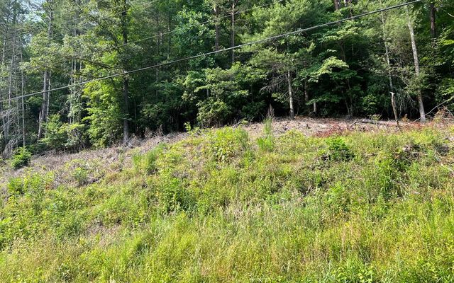 Lot 3 Fires Creek Road, Hayesville, NC 28904